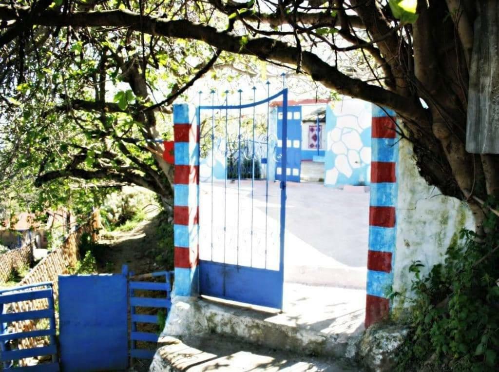 Nefzi Guest House Exterior foto